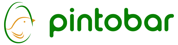 Pintobar