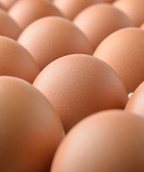 SLIDER_EGGS_v2_04