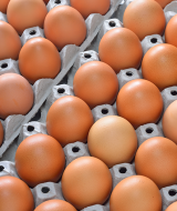 SLIDER_EGGS_v2_05